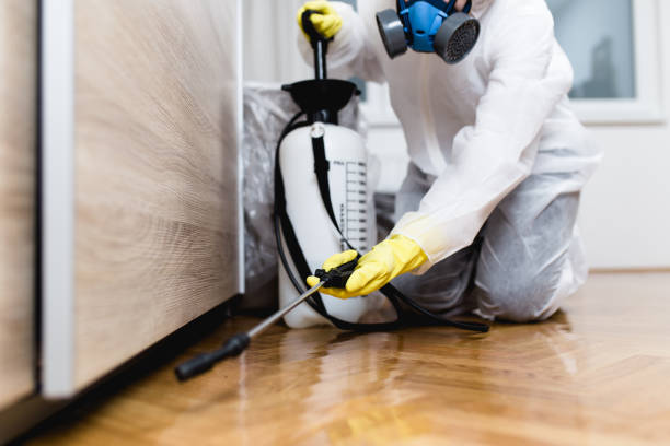 Best Local Pest Control Services  in Kamiah, ID