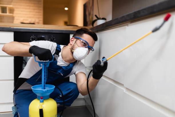 Best Rat Extermination Near Me  in Kamiah, ID