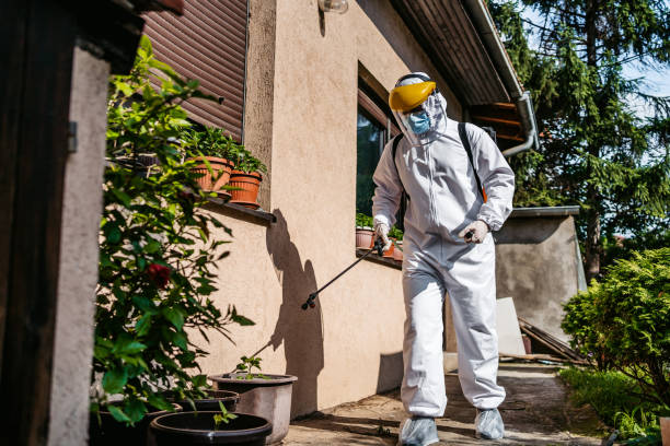 Best Exterminator Services  in Kamiah, ID