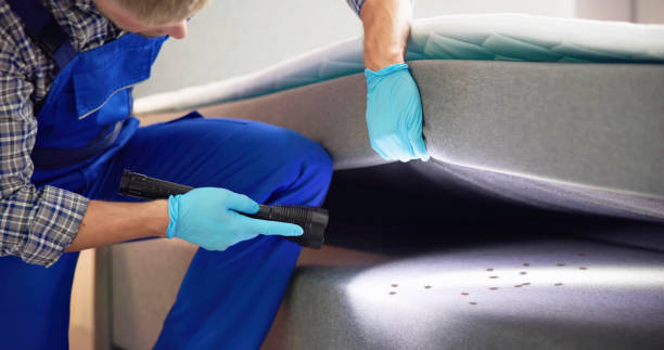 Flea Control Services in Kamiah, ID
