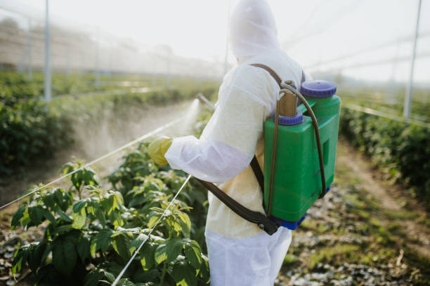 Best Pest Prevention Services  in Kamiah, ID